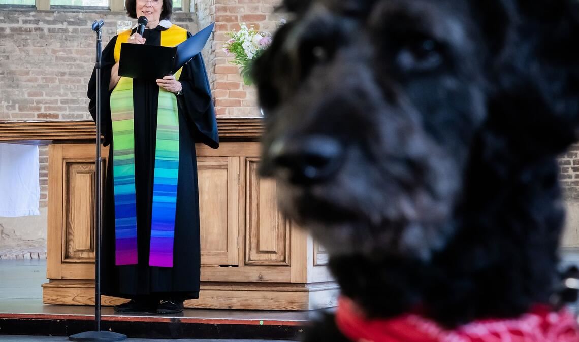 Pfarrerin Andrea Richter spricht im Beisein von Pudel-Mischling Billie bei einem Tiersegnungsgottesdienst in der Parochialkirche in Berlin.