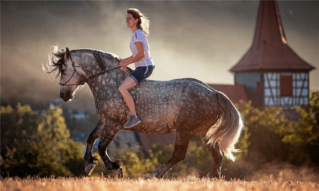 Pferde-Fotografie für den guten Zweck. Im Hintergrund gut zu erkennen: der Schützinger Kirchturm als echtes „Wahrzeichen“ des Ortsteils von Illingen. Fotos: Melanie Viereckel