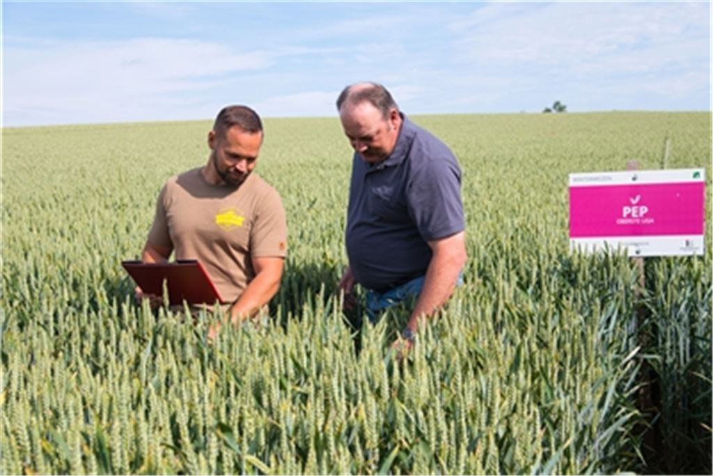 Pflanzenproduktions-Berater Sven Nagel (li.) und Landwirt Bernd Benzinger beurteilen einen Bestand im Winterweizen. Foto: privat