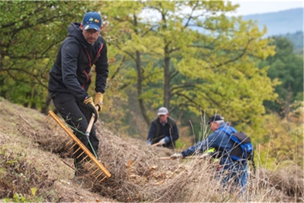 Pflegeeinsatz in Diefenbach. Foto: Fotomoment