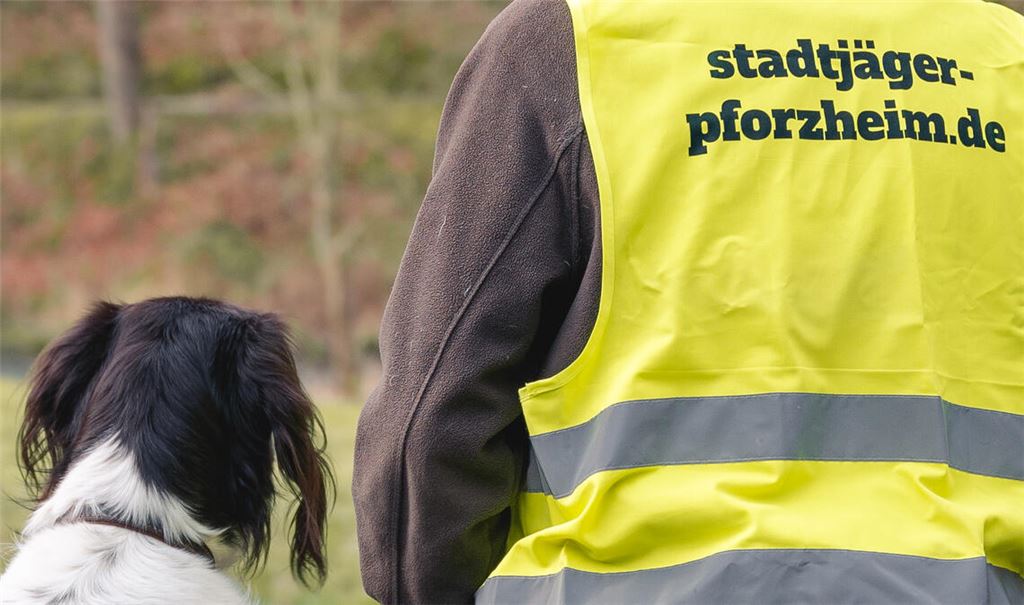 Pforzheim hat schon einen, Maulbronn wird im nächsten Jahr einen offiziellen Stadtjäger haben. Foto: Archiv