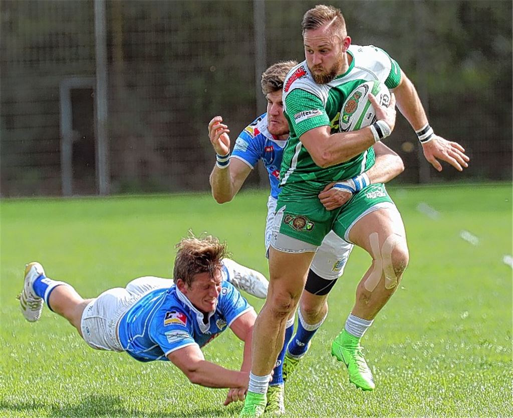 Lockerer Aufgalopp für das Topmatch