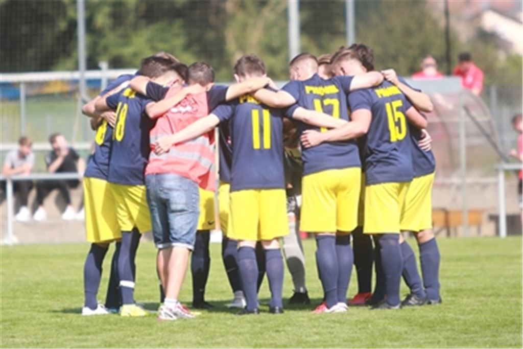 Phönix Lomersheim hat am Sonntag wieder ein Heimspiel – und zwar gegen Tabellenführer TV Aldingen. Dann wird Teamgeist gefragt sein. Archivfoto: Huber