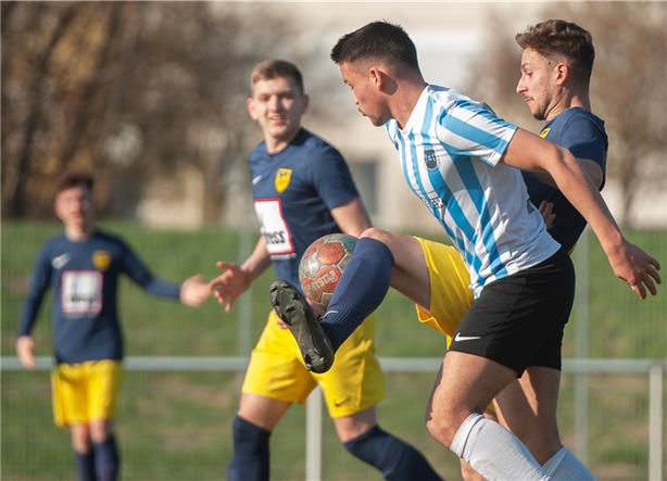 Phönix baut Heim-Serie aus