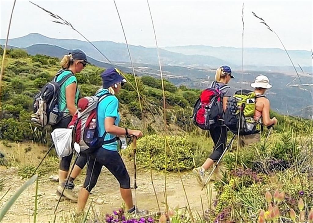 Camino de Santiago