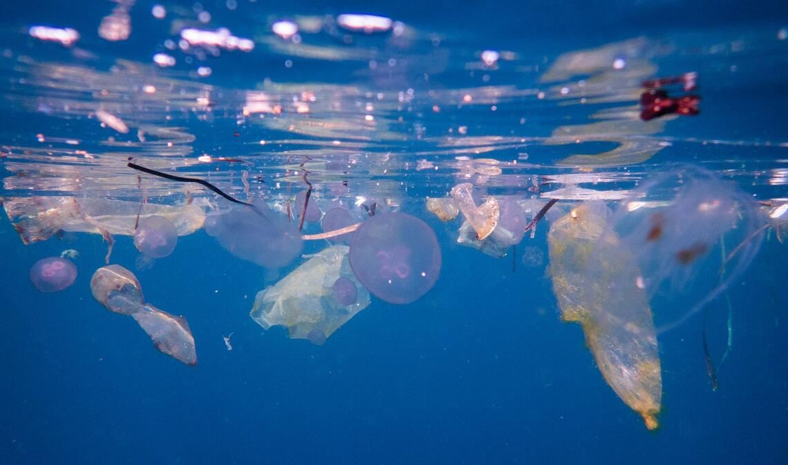 Plastikmüll schwimmt neben Quallen am Tauchplatz Blue Magic in Raja Ampat in Indonesien.