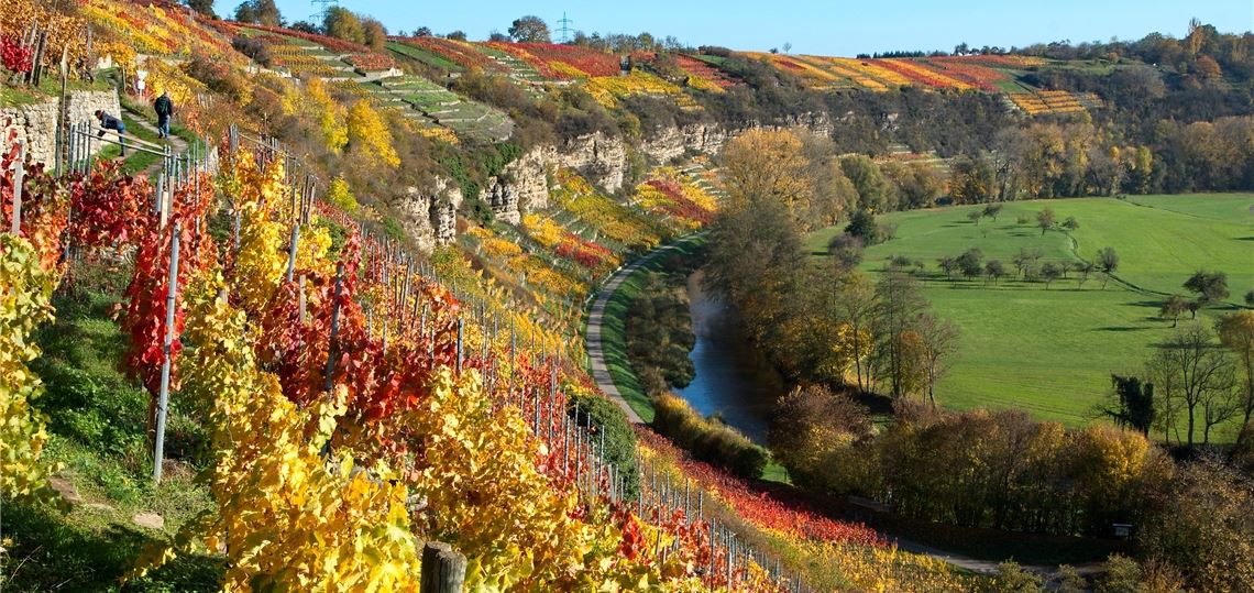 Platz eins: Der Herbst ist ein Maler, und Peter Laible hat die Farbenpracht an der Enzschlinge für die Nachwelt festgehalten. Das Bild ist für unsere Leser das Foto des Jahres.