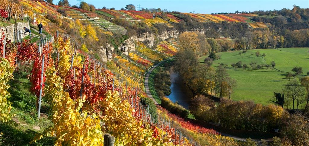 Platz eins: Der Herbst ist ein Maler, und Peter Laible hat die Farbenpracht an der Enzschlinge für die Nachwelt festgehalten. Das Bild ist für unsere Leser das Foto des Jahres.