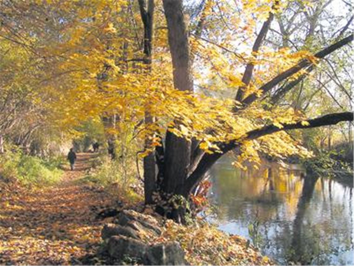 Platz eins geht unangefochten an das Foto von MT-Leser Wolfgang Dorn, aufgenommen an der Enz unterhalb des Kammertenbergs.