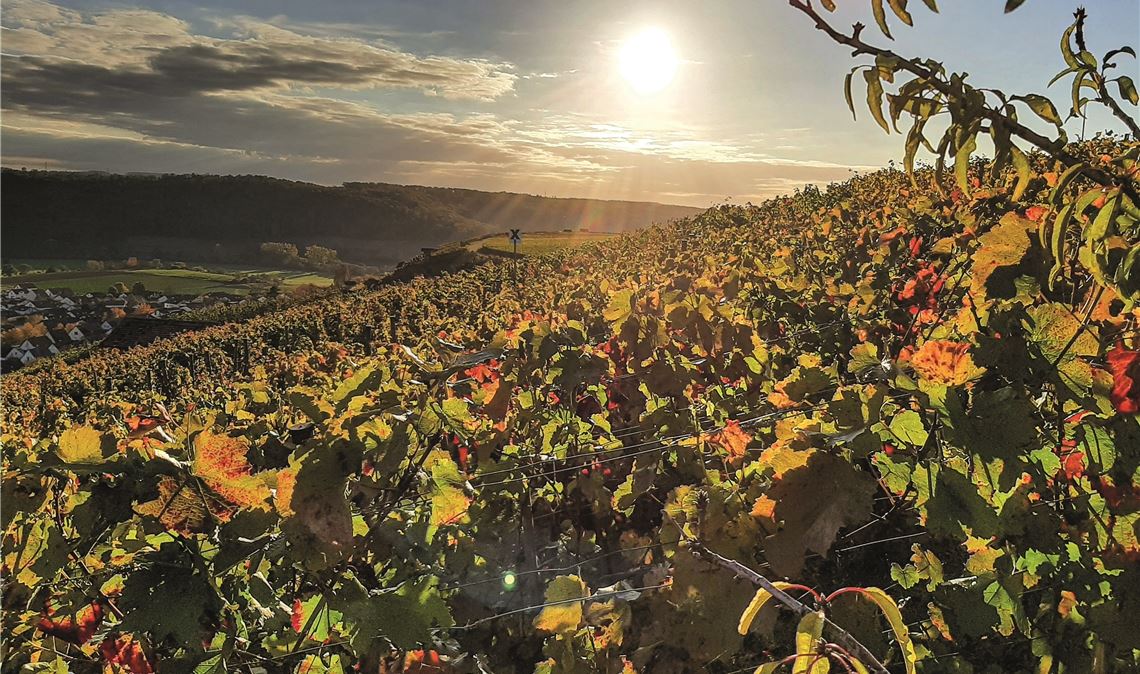 Platz vier: Kulturlandschaft bei Roßwag – so schön ist die Region.