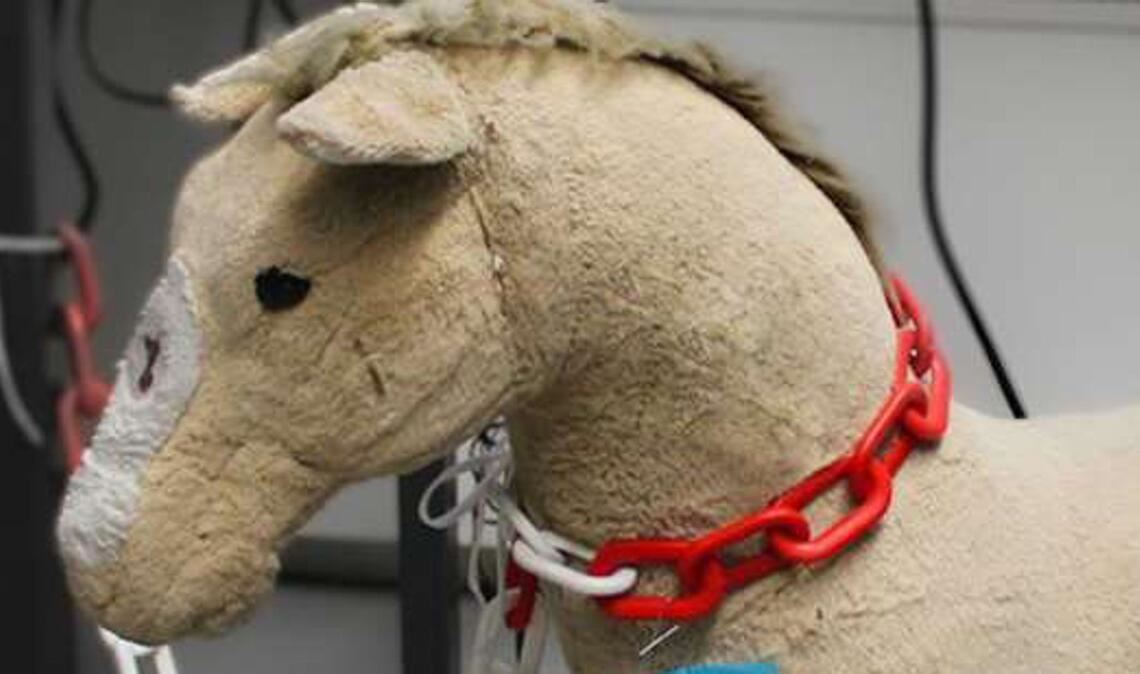 Plüschtier an der B10: Die Polizei sammelte dieses Plüschtier ein, das für ein herrenloser Hund gehalten wurde.