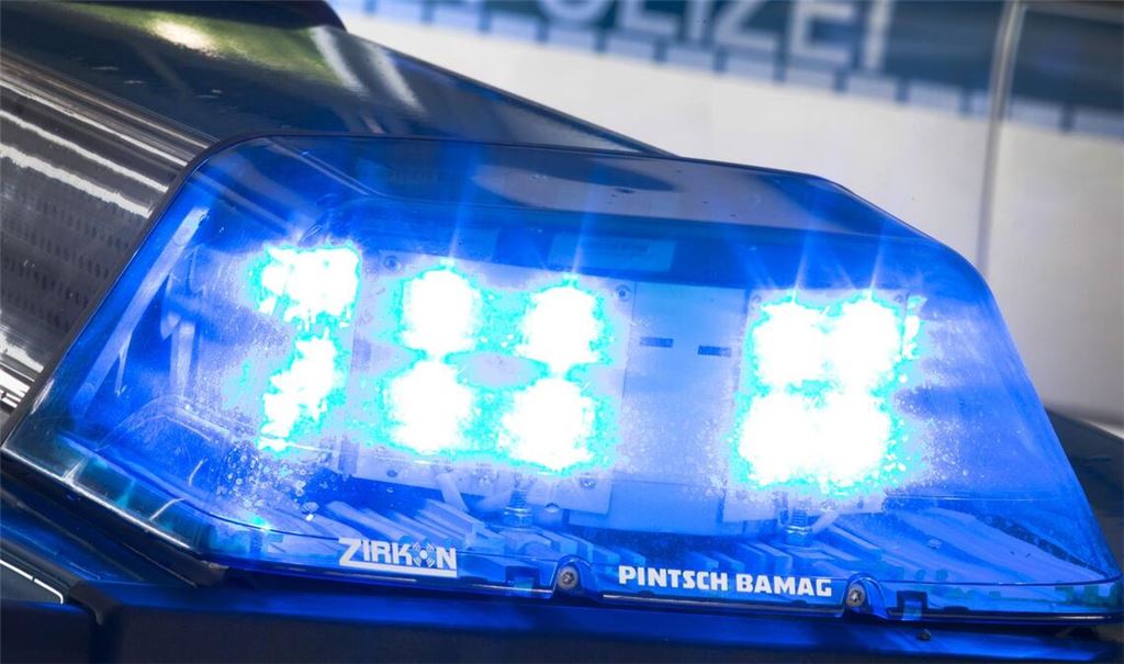 Polizeieinsatz: Ein Junge wird in einer Kleingartenanlage von einer Dogge angegriffen und schwer verletzt. (Symbolbild)