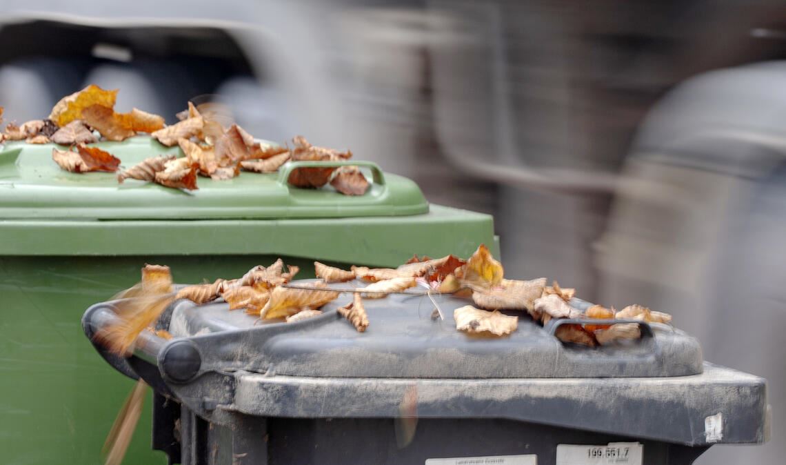 PreZero steht wegen nicht erfolgter Leerung von Mülltonnen in der Kritik. Symbolfoto: Archiv