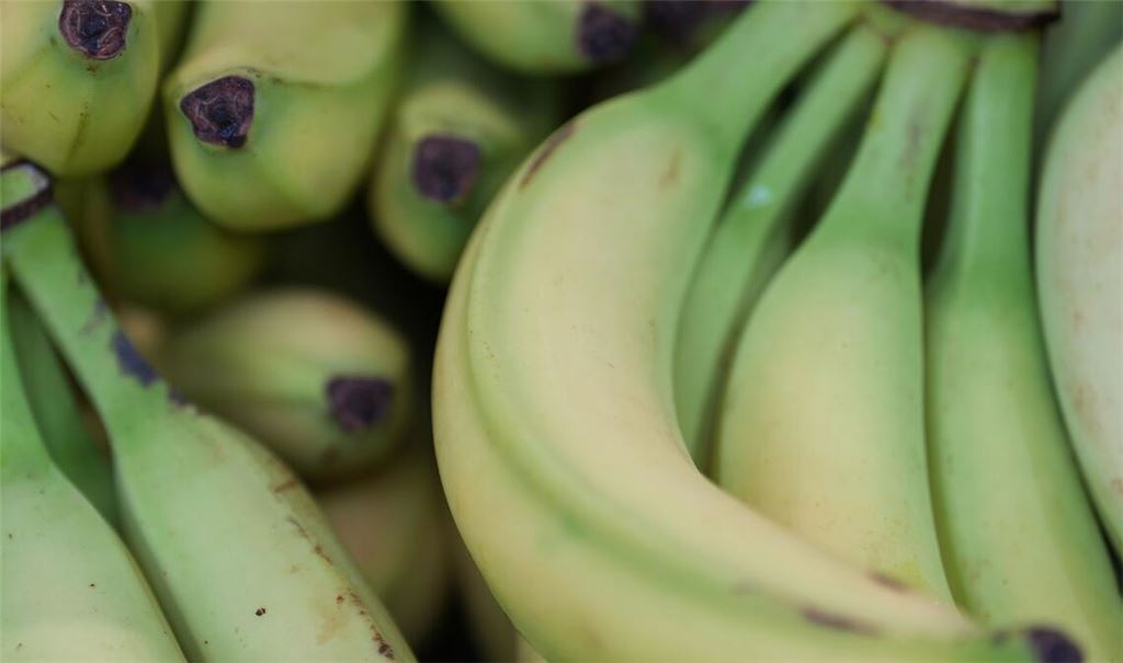 Preise für viele Lebensmittel haben im Januar angezogen. (Symbolbild)