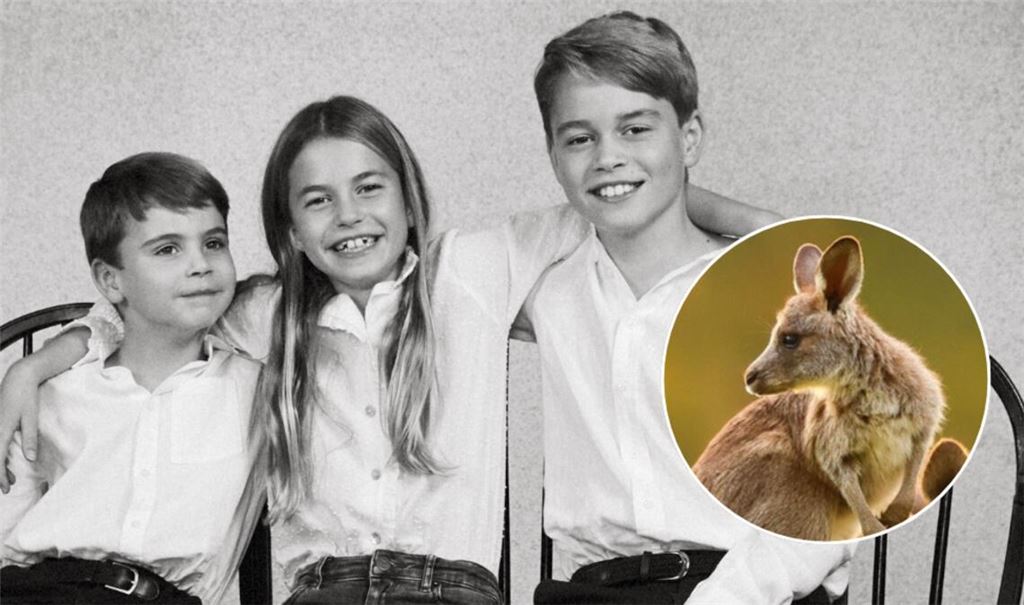 Prinz Louis, Prinzessin Charlotte und Prinz George durften ein Baby-Känguru benennen. (Symbolbild)
