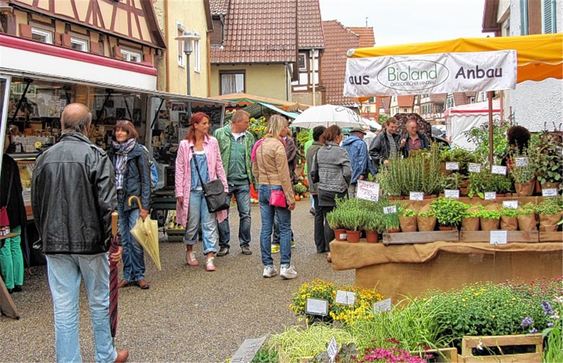 Produkte aus der Region stehen bei den Besuchern des Kulinarischen Bauernmarkts hoch im Kurs.