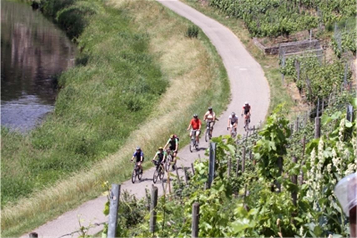 Radfahrer werden in der kommenden Woche auf dem Enztalradweg bei Mühlhausen ausgebremst. Archivfoto: Hansen 