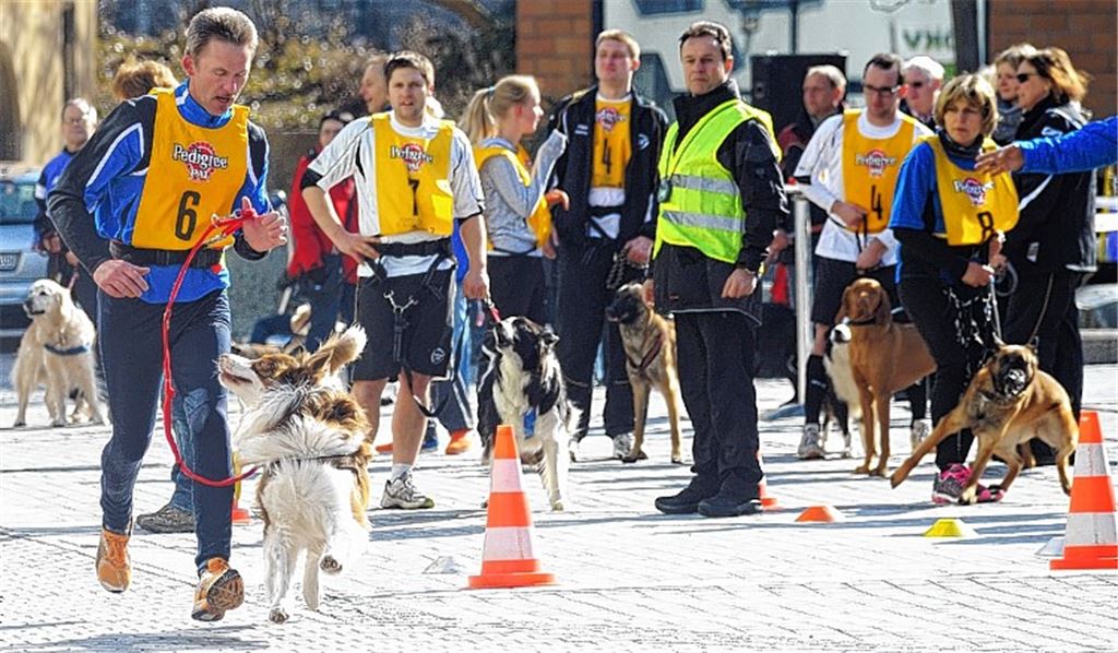 Rainer Häcker und Lennox rennen im Team II des HSV Mühlacker, das letzen Endes den dritten Platz belegt. Fotos: Fotomoment