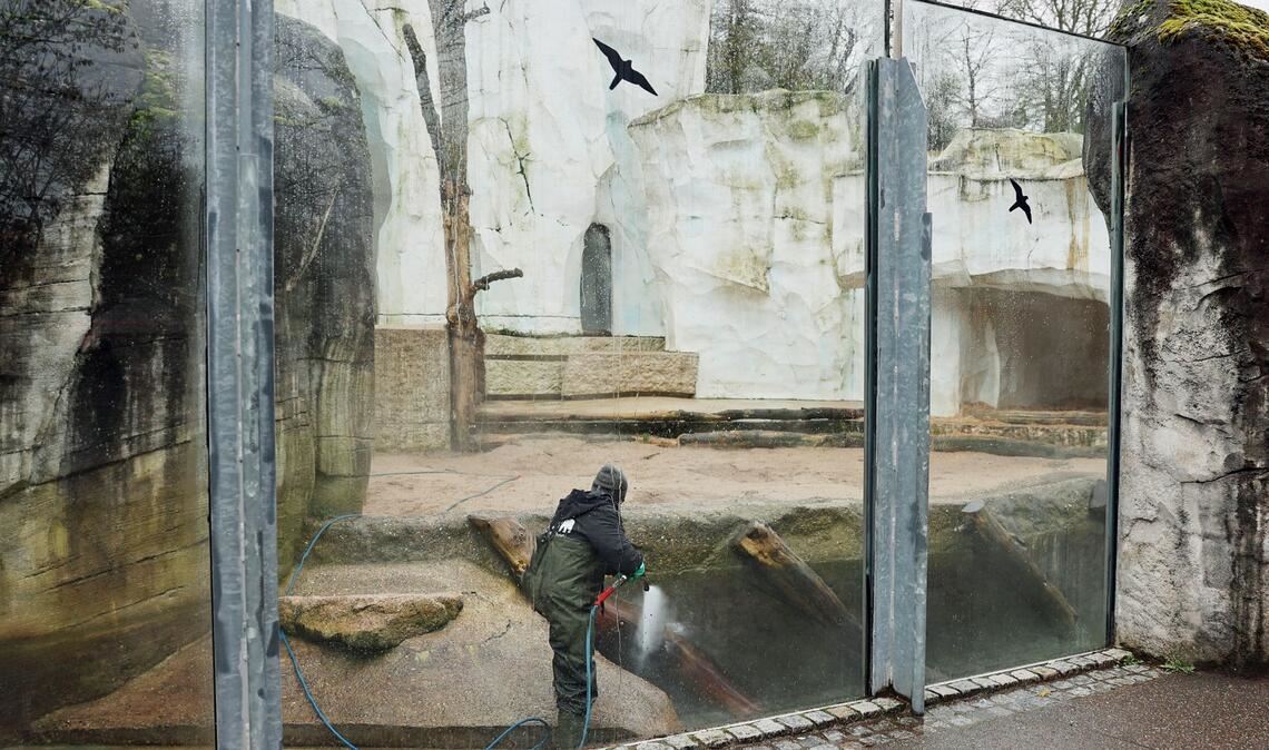 Randalierer sind vergangenes Wochenende in den Zoo in Karlsruhe eingedrungen und haben mehrere Tieranlagen mit Müll verwüstet.