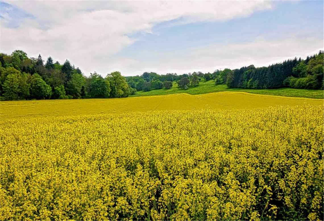 Frühlingsgefühle