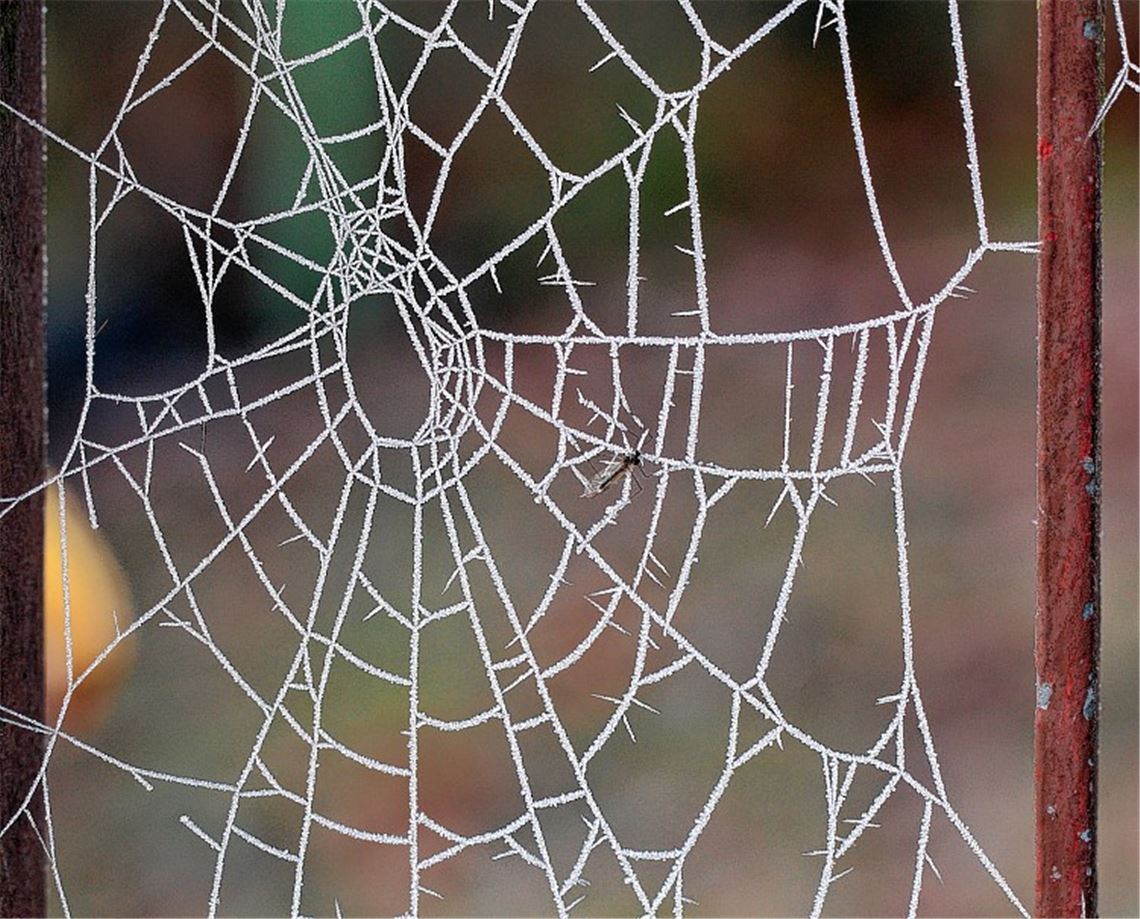 Herbstfarben Herbstfarben