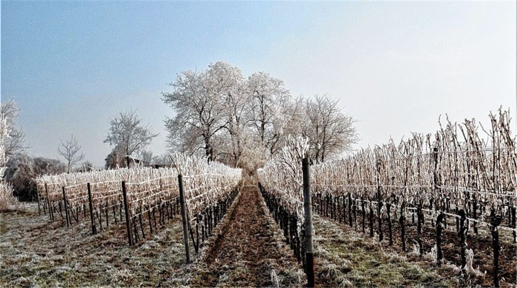 Winterzeit