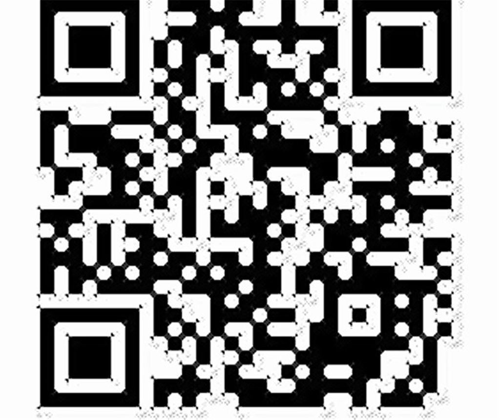 Raus aus der Enz, ab aufs Rad: In der Wechselzone geht es immer hektisch zu.