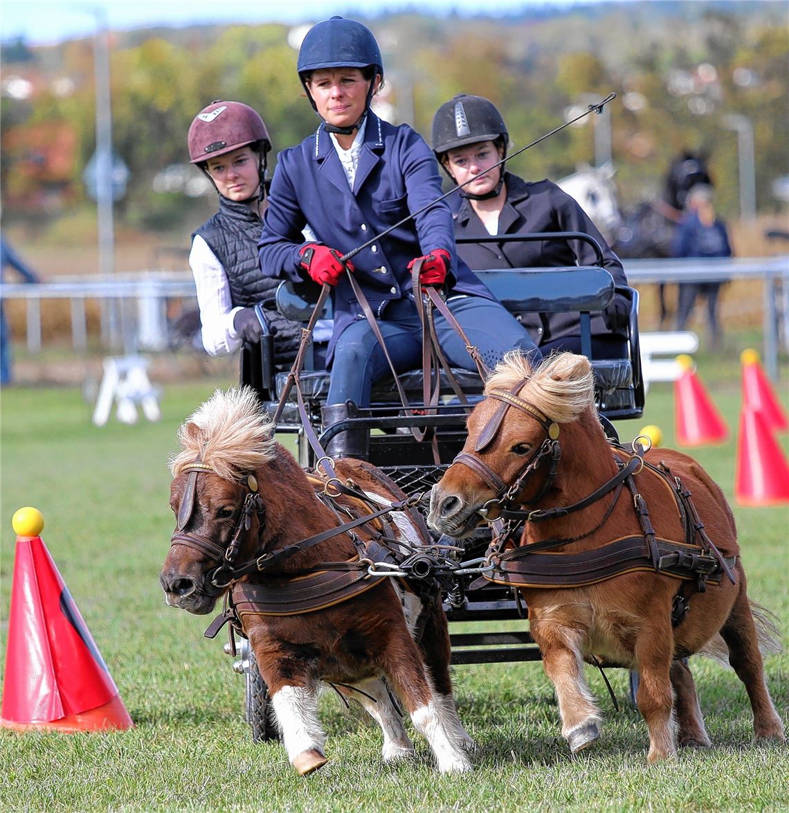 Canbaz ist nicht zu schlagen