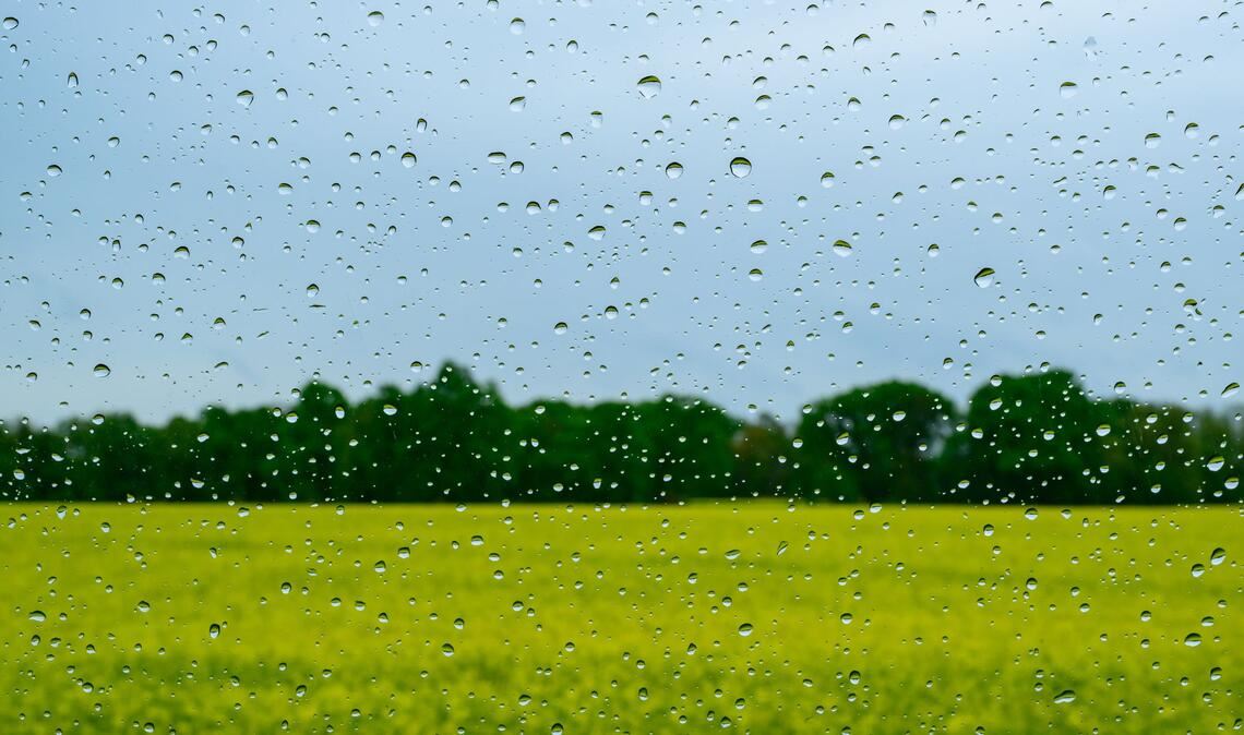 Regen wird es auch in den kommenden Tagen geben.