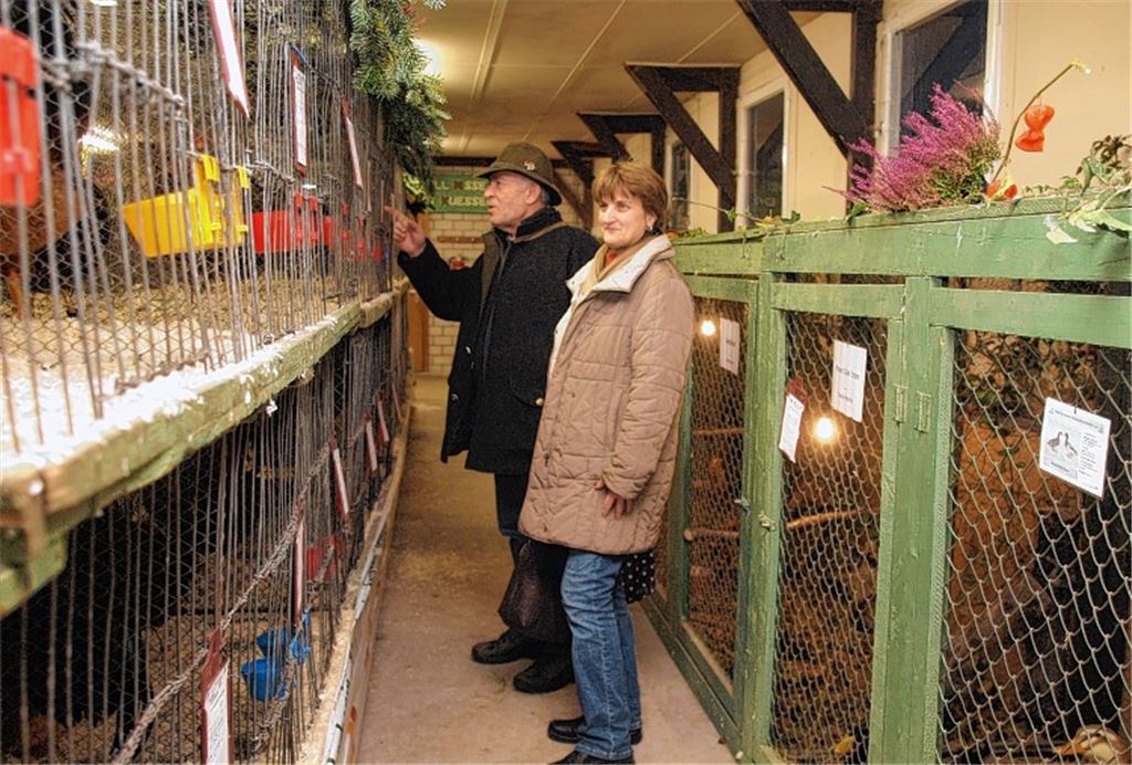 Regina Pörschke und Manfred Hittler sind begeistert von der Ausstellung. Foto: Appich