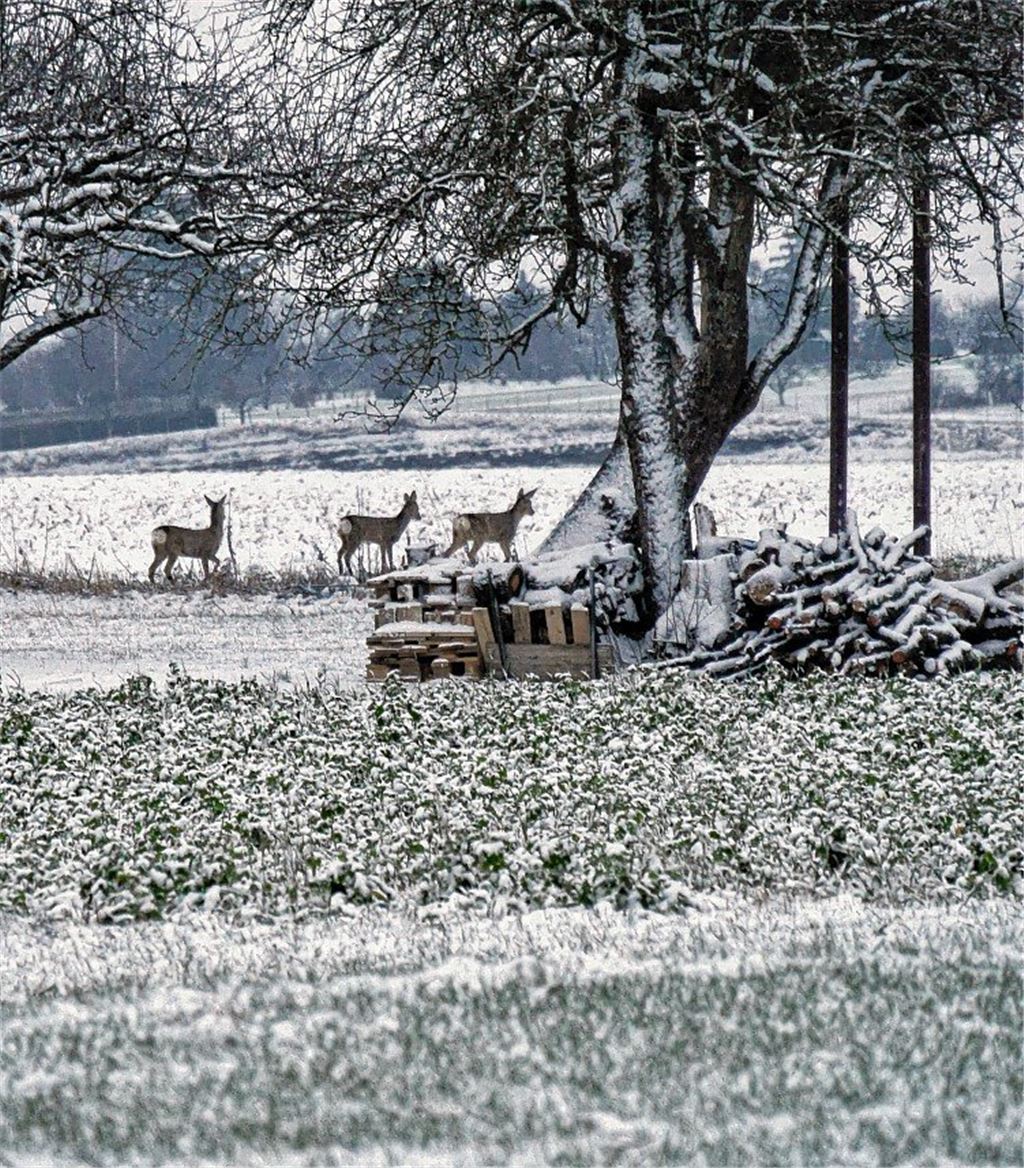Winterzeit