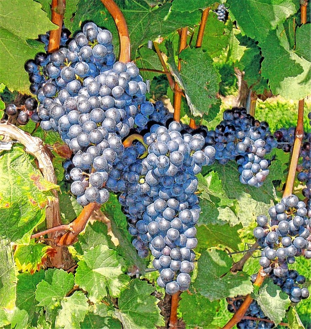 Herbstfarben
