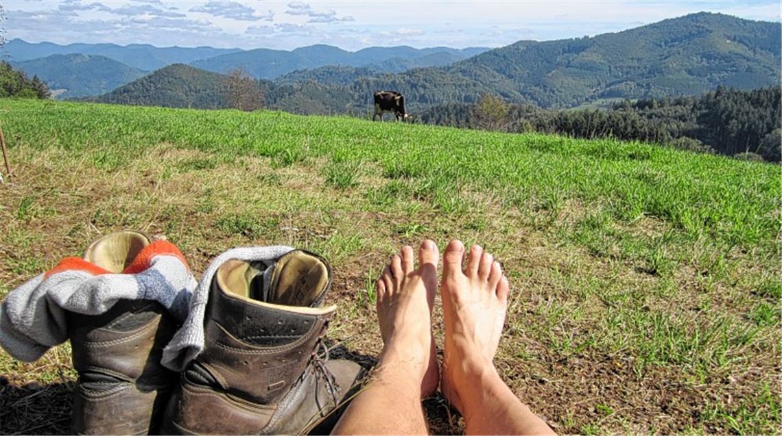 Kilometer fressen und genießen Kilometer fressen und genießen