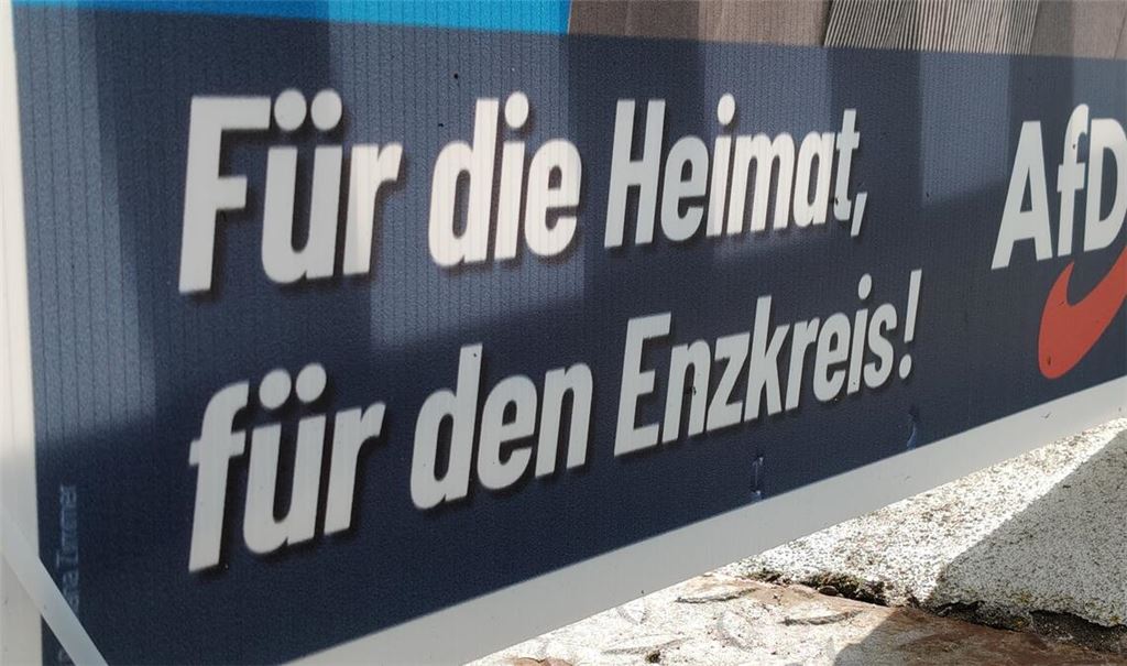 Relikt aus dem Wahlkampf: Auch in Mühlacker und den Stadtteilen ist die Zahl der AfD-Sympathisanten kräftig gewachsen. Foto: Deeg
