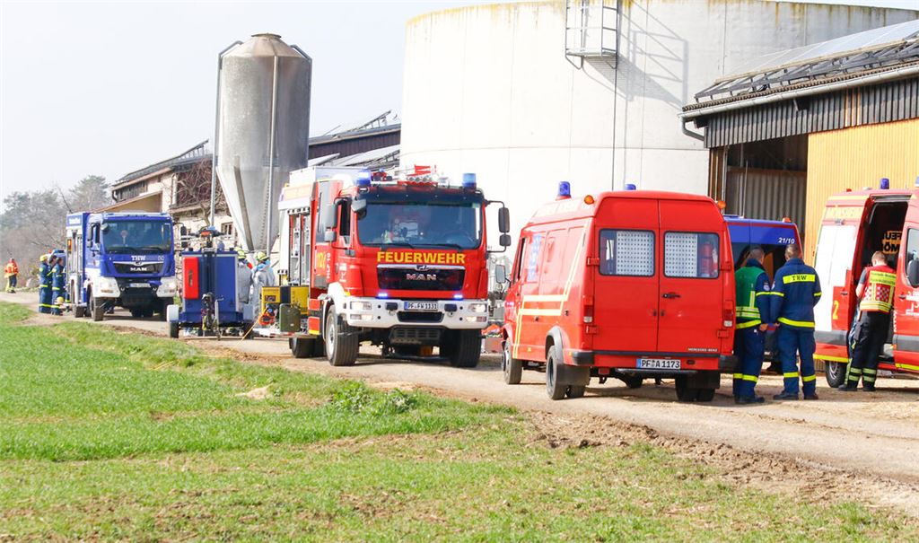 Rettungskräfte des Technischen Hilfswerks und der Feuerwehr versuchen, einen Bullen zu retten, der in Mönsheim in eine Jauchegrube gefallen ist. Foto: Waldemar Gress/EinsatzReport24