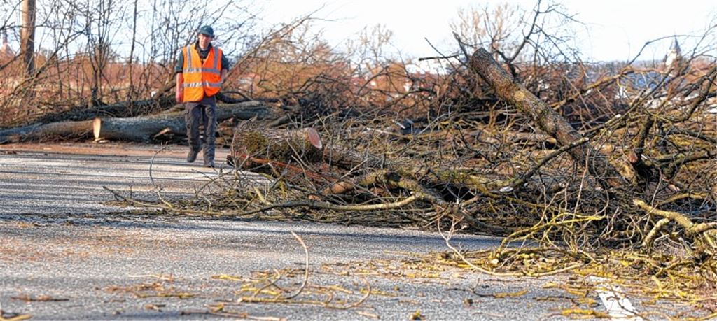 Holzarbeiten: B35 gesperrt