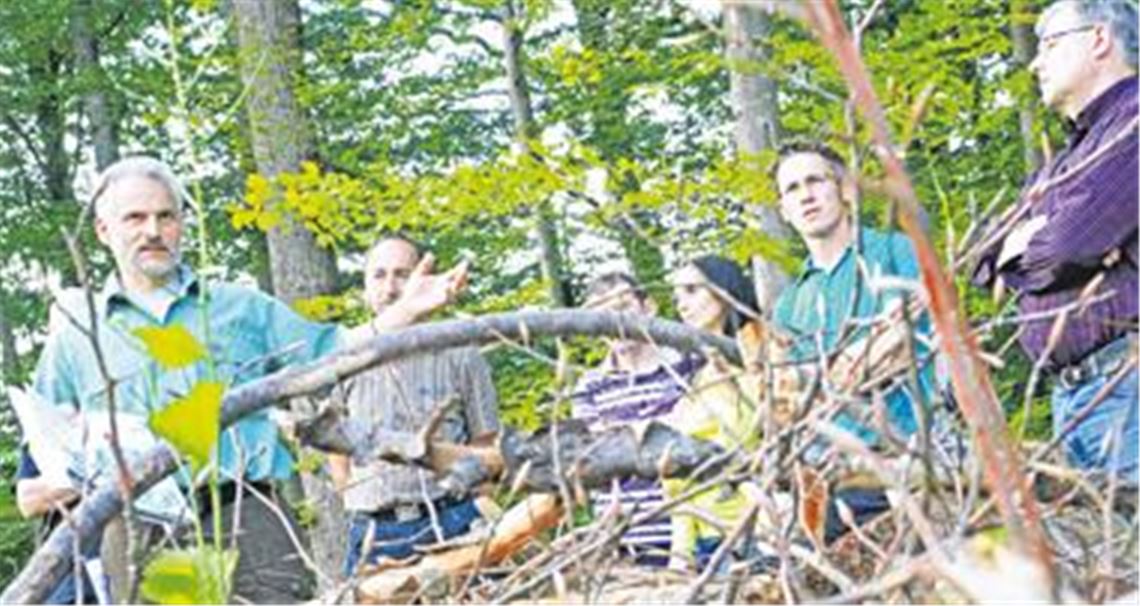 Revierförster Rolf Esslinger (li.) behält im 820 Hektar großen Gemeindewald den Überblick. Seine Erläuterungen bringen dem Gemeinderat die Grundlagen der Forstwirtschaft nahe. 
Foto: Goertz