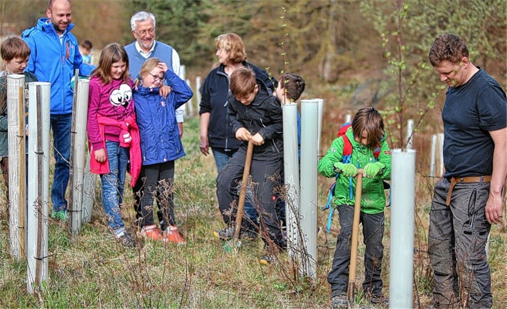 Schüler pflanzen rund 200 Bäume