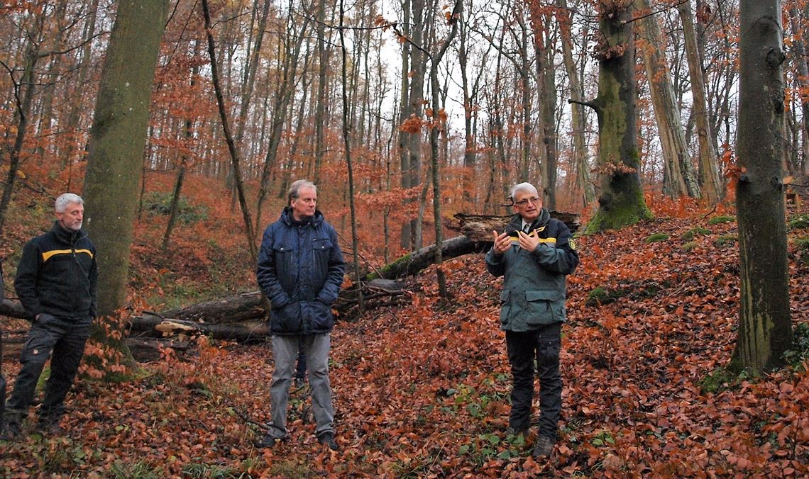 Revierleiter Ulrich Klotz berichtet im Gewann Kupferhalde über das Alt- und Totholzkonzept, in Baden-Württemberg verpflichtend für Waldbesitzer. Hinter ihm eine etwa 120 bis 150 Jahre alte Buche, deren großer abgebrochener Ast in etwa zehn Jahren verrottet sein wird. Links der Leiter des Forstamtes Enzkreis, Andreas Roth, daneben der Knittlinger Bürgermeister Heinz-Peter Hopp.Filitz