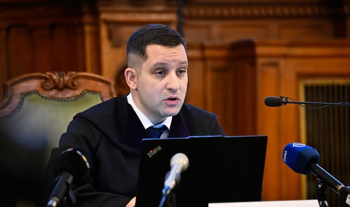 Richter Jozsef Sos folgte in seinem Urteil in weiten Teilen der Argumentation der Staatsanwaltschaft.