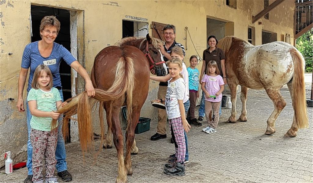 Richtige Pflege will gelernt sein: Kinder erfahren auf dem Bischoffhof alles über Pferde. Foto: Wüstner