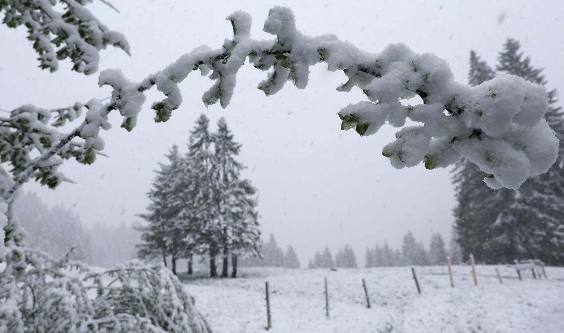 Riedbergpass: Schnee in Bayerns Höhenlagen – winterliche Szenerie auf etwa 1200 Metern Höhe