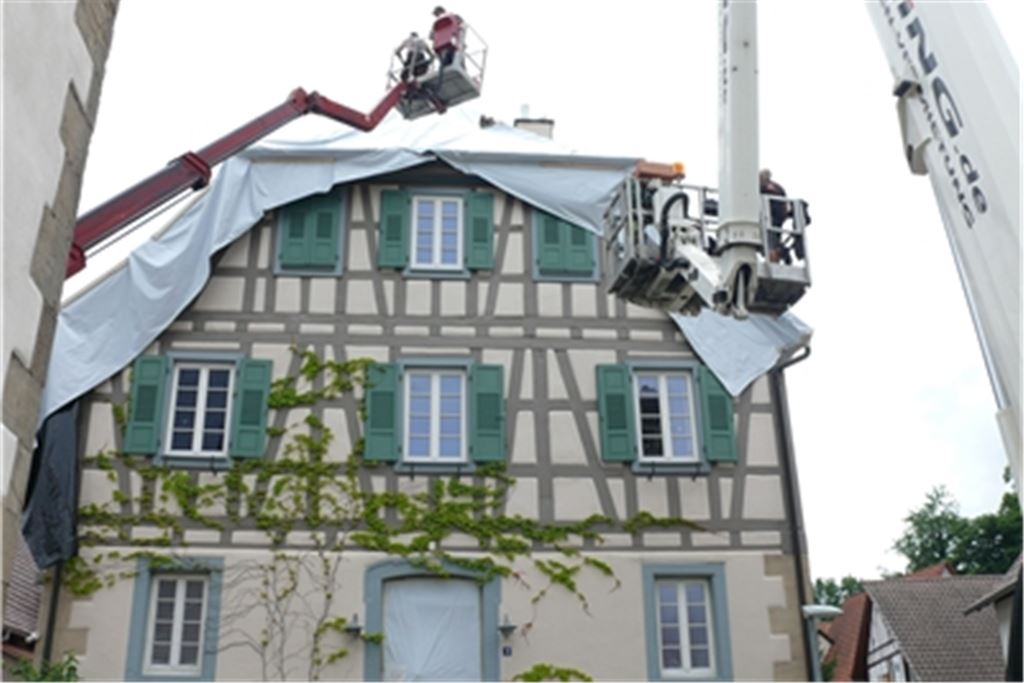 Riesengroßer Aufwand wegen eines kleinen Käfers. Foto: Dietrich