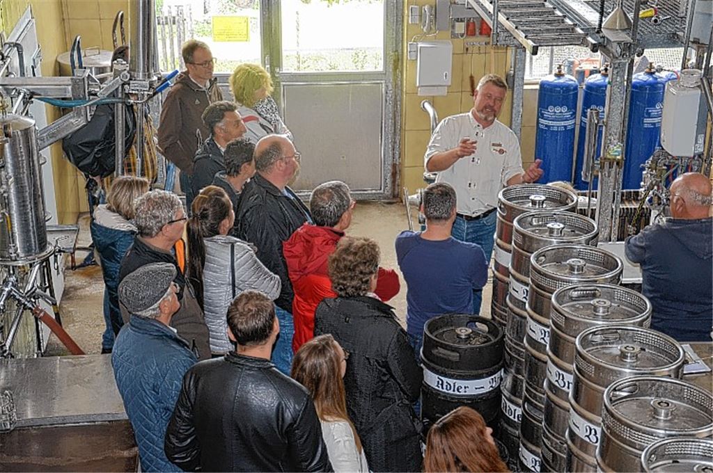 Verwilderter Hopfen macht Karriere