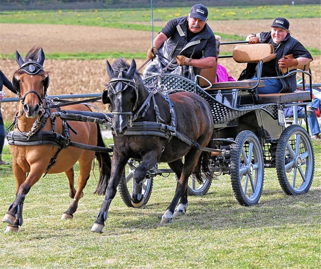 Spannung vor dem Ringtrophy-Finale