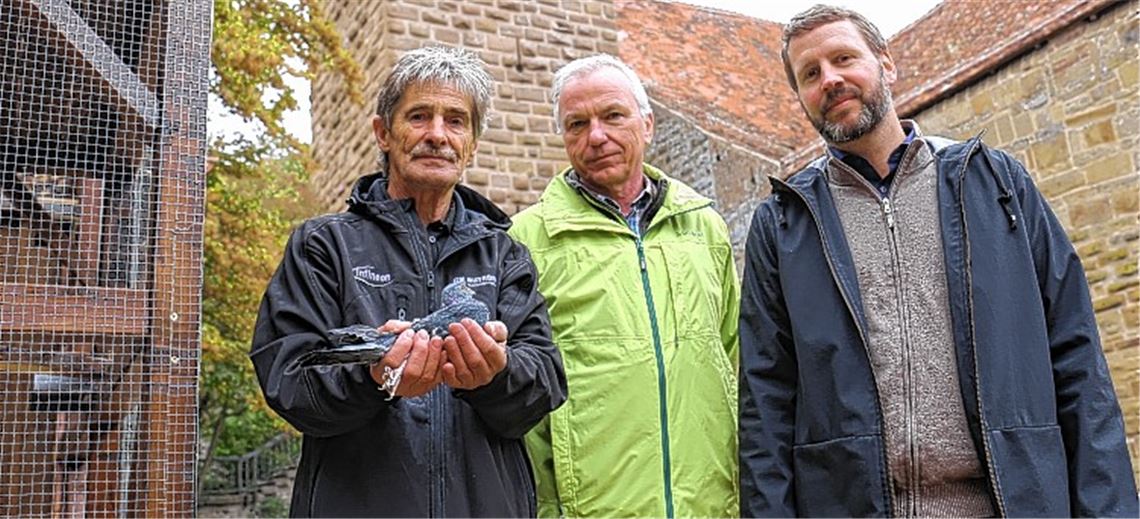 Luxusknast mit Freigang soll’s richten