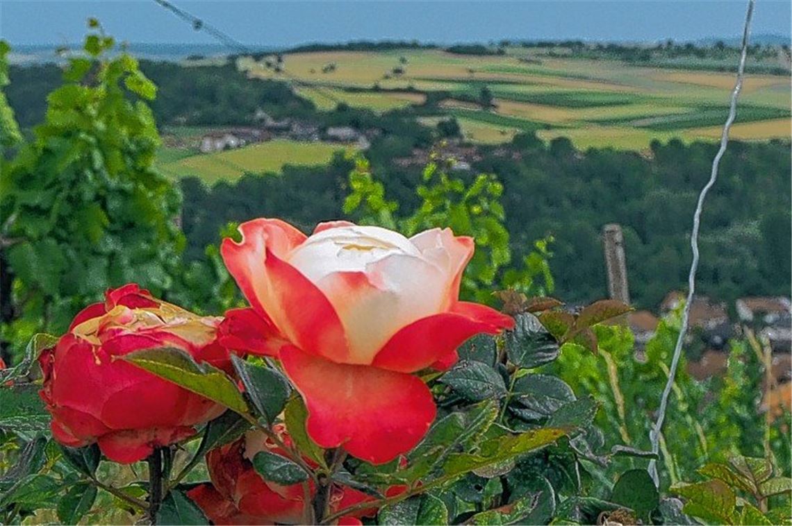 Sommerzeit