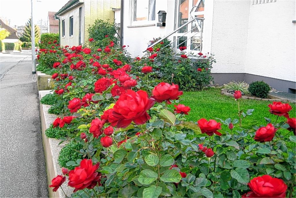 Herbstfarben