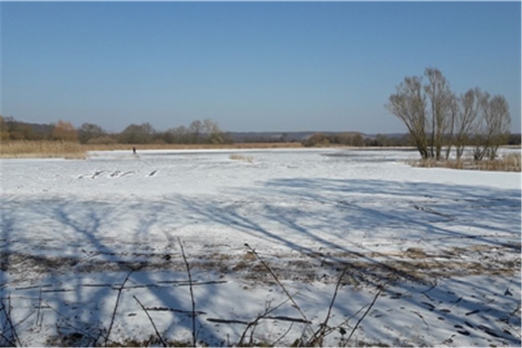Rossweiher bei Maulbronn. Archivfoto: Frommer