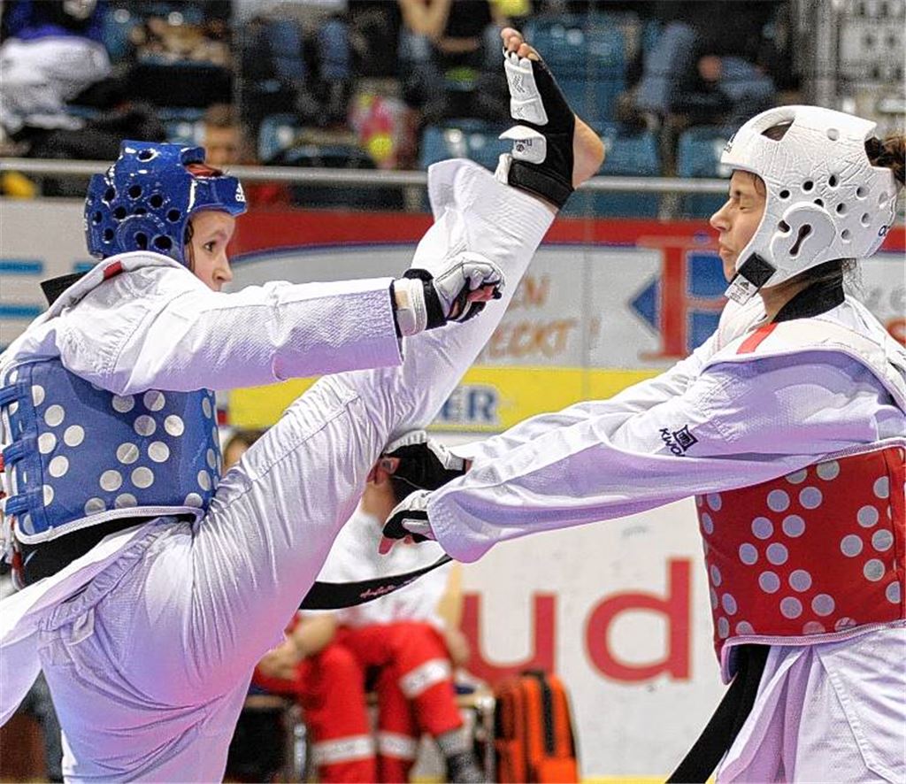 Roxana Nothaft (li.) setzt die richtigen Kicks. Aber im Halbfinale der EM muss sie sich um einen Punkt knapp geschlagen geben. Foto: privat